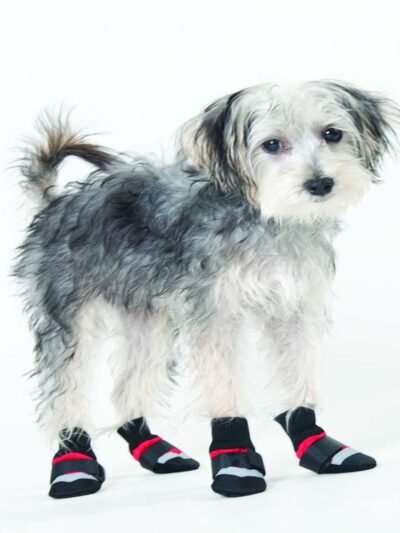 Fashion Pet Extreme All Weather Boots Red/Black 1ea/XXxs