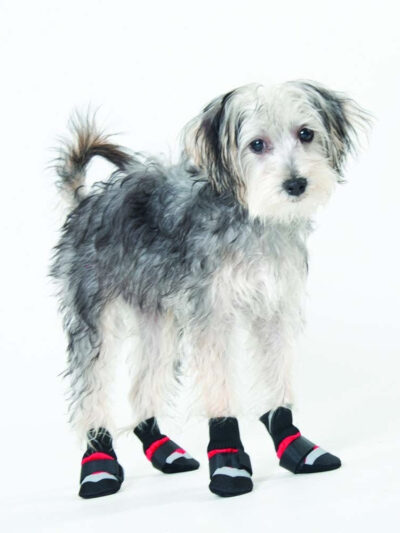 Fashion Pet Extreme All Weather Boots Red/Black 1ea/XXS
