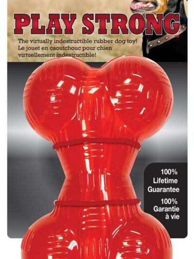 Spot Play Strong Bone Dog Toy 1ea/4.5 in, SM