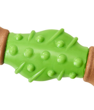 Bam-Bone Dental Bone Dog Toy Green/Brown 1ea/6 in