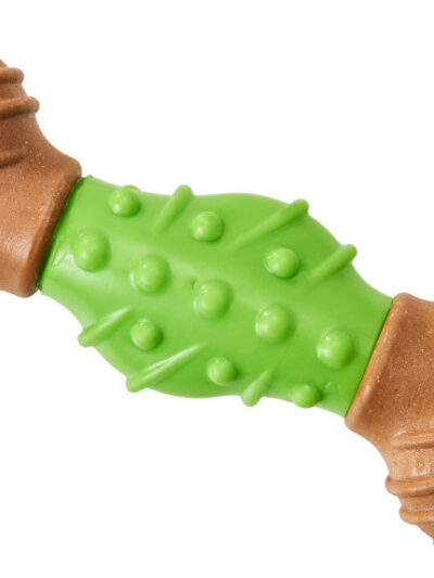 Bam-Bone Dental Bone Dog Toy Green/Brown 1ea/7 in