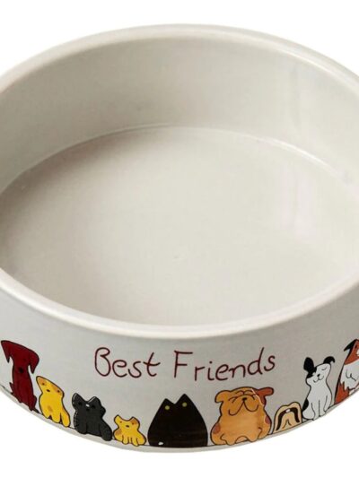 Spot Best Friends Dog Dish 1ea/5 in