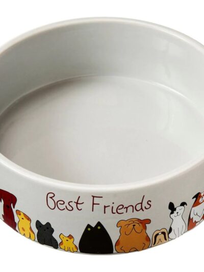 Spot Best Friends Dog Dish 1ea/7 in