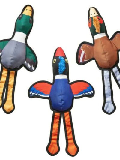 Earth Dog Toy Oxford Ducks Assorted 1ea/20 in