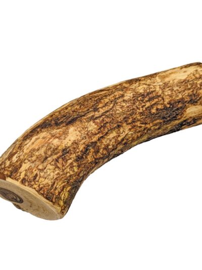Spot Olive Wood Dog Chew 1ea/XL