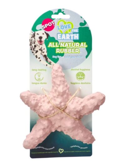 Earth Starfish 6" Assorted