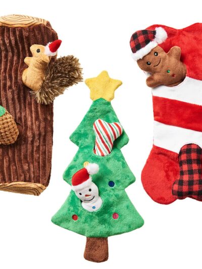 Spot Holiday Puzzle Toys Assorted 1ea/2 pk