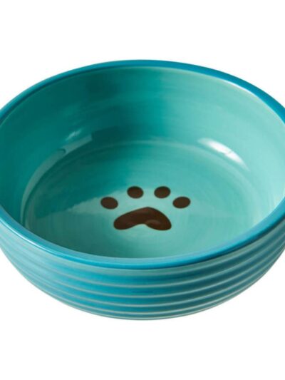 Spot Elegance Dog Bowl Aqua, 1ea/5 in