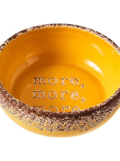 Spot More More Dog Bowl Mango, 1ea/5 in