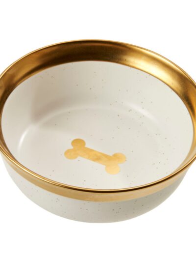 Spot Malibu Dog Dish Gold, 1ea/7 in