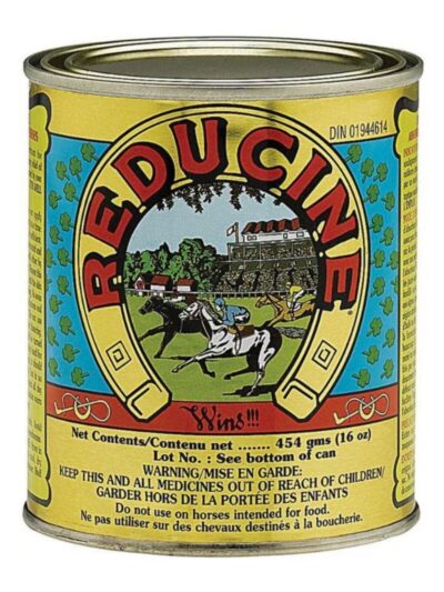 Reducine Absorbent Equine Liniment 16oz.