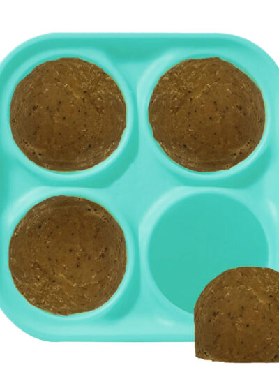 Spot Seek-A-Treat Freezer Tray 4.5"