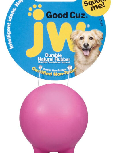JW Pet Good Cuz Dog Toy Assorted 1ea/SM