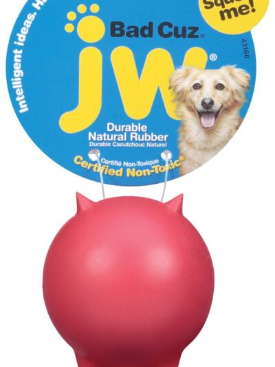 JW Pet Bad Cuz Dog Toy Assorted 1ea/SM