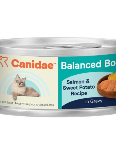 CANIDAE Balanced Bowl Canned Cat Food Salmon Sweet Potato, 24ea/3 oz