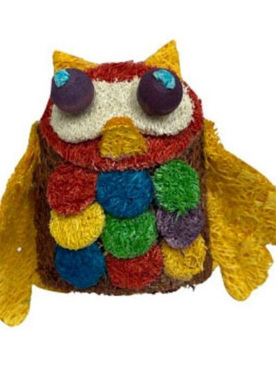 A & E Cages Nibbles Owl Whooo Small Animal Chew Toy 1ea/One Size