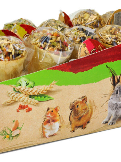 A and E Cages Small Animal Ice Cream Cone Treat Display 10 ct