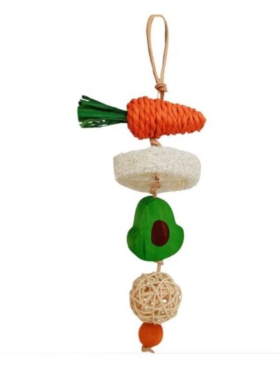 A & E Nibbles-Garden-Knob-Toy