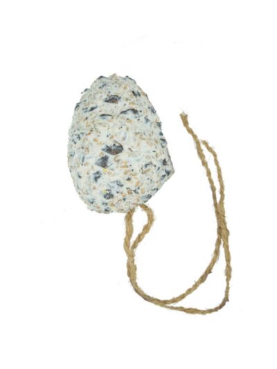 A & E Cages Garden & Fun Suet Pine Cone Bird Treat 1ea/330 g