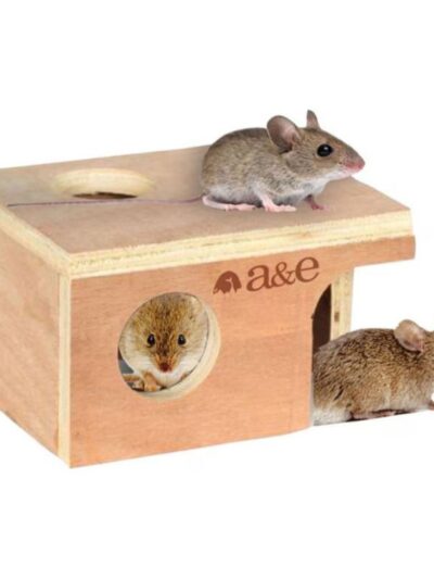 A & E Nibbles-Mouse-Hut-Small