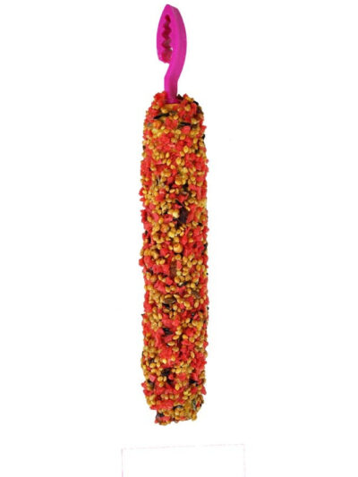 A and E Cages Smakers Snack Strawberry Treat Stick for Parakeets 3.17 oz 2 Count