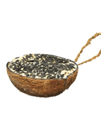 A & E Cages Garden & Fun Half Coconut w/Suet & Black Oil Sunflower Bird Treat 1ea/290 g
