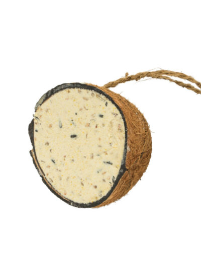 A & E Cages Garden & Fun Half Coconut w/Suet Bird Treat 1ea/200 g