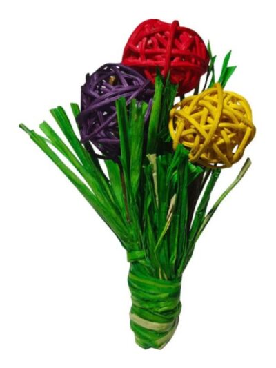 A & E Nibble-Chewy-Blooms-Toy