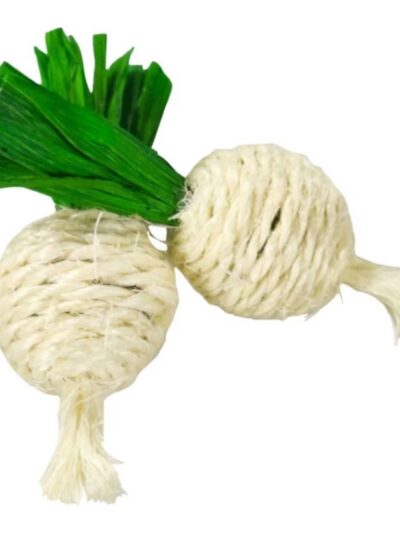 A & E Nibbles-Turnip-Twins-Chew-Toy