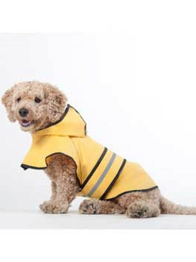 Fashion Pet Rainy Day Slicker Yellow 1ea/MD