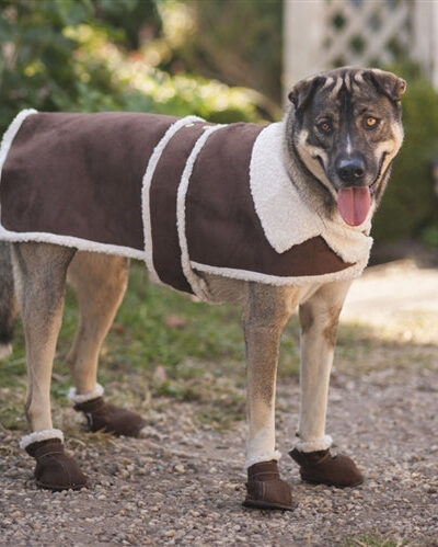 Fashion Pet Shearling Coat Brown Small