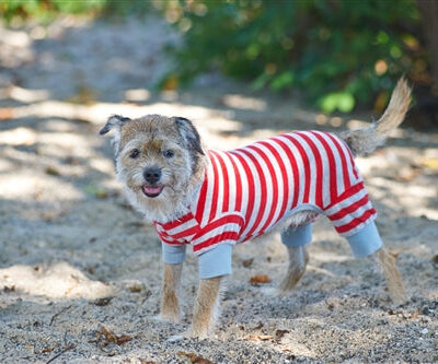 Spot Ethical Pet Striped Pajama Red Medium