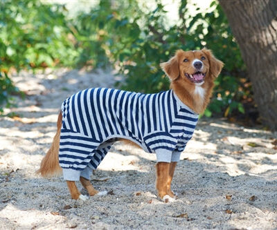 Fashion Pet Striped Pajamas Blue Medium