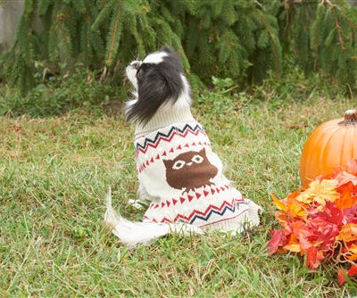 Fashion Pet Owl Sweater Cream Medium