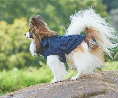 Fashion Pet Scarf Sweater Blue Small