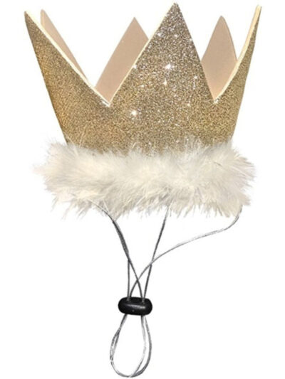 H&K Celebration D&C Party Crown Gold Large
