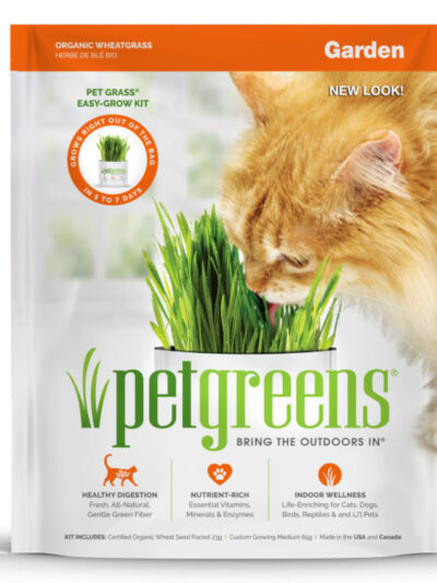 Pet Greens Garden Pet Grass Self-Grow Kit Organic Wheatgrass 1ea/3 oz