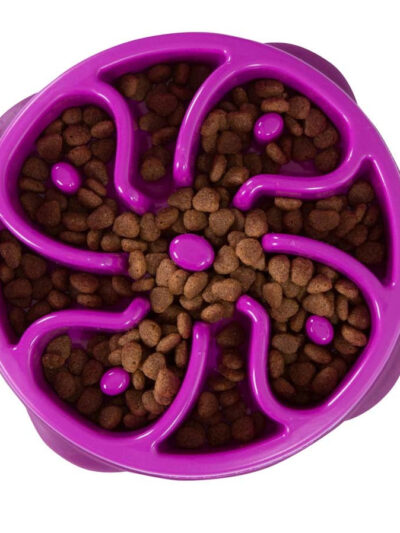 Outward Hound Fun Feeder Slo-Dog Bowl Purple 1ea/SM