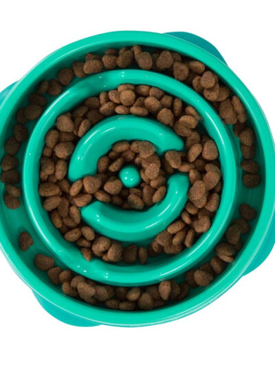 Outward Hound Fun Feeder Slo-Dog Bowl Turquoise 1ea/Mini