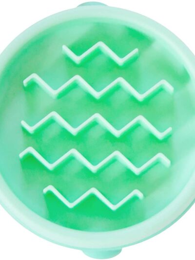 Outward Hound Fun Feeder Slo-Dog Bowl Mint 1ea/XS
