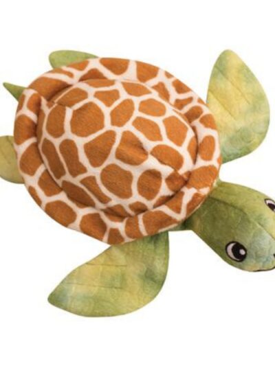 Snugarooz Shelldon The Turtle Green 5in.