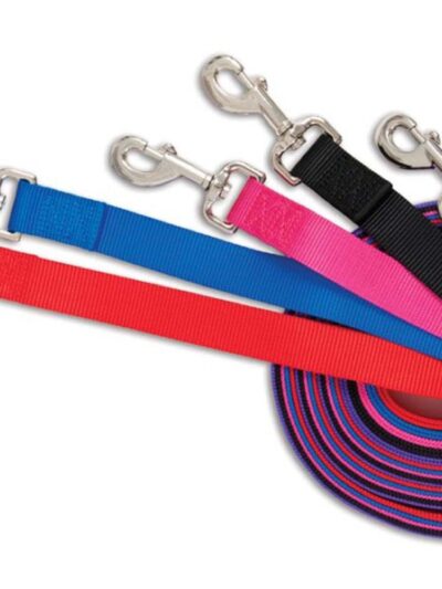 Aspen Core Nylon Dog Leash Red 1ea/5/8In X 5 ft, MD