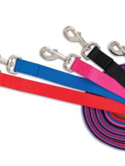 Aspen Core Nylon Dog Leash Royal Blue 1ea/5/8In X 5 ft, MD