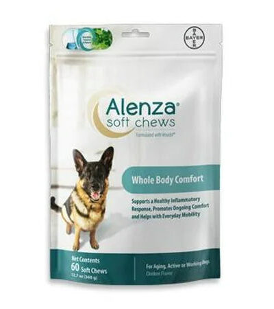 Bayer Dog Alenza Aging Support Soft Chews 60Ct.