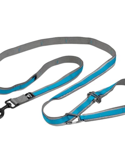 Kurgo Dog Quantum Leash Blue