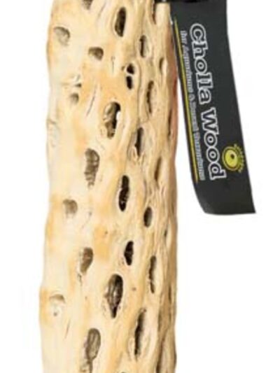 Galapagos Cactus Skeleton Cholla Wood Brown 1ea/36 in