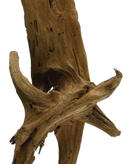 Galapagos Sinkable Driftwood Brown 1ea/11-13 in, MD