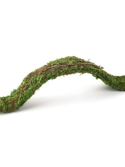 Galapagos Flexible Bridge Terrarium Ornament Fresh Green 1ea/2 ft
