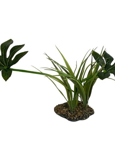 Komodo Jungle Canopy Plant 1ea/42 cm