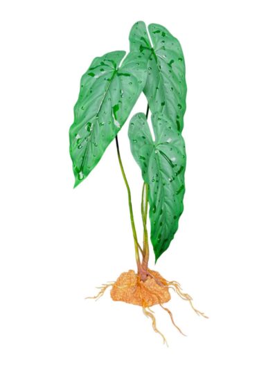 Komodo Standing Plant Emerald Vine, 1ea/18 in